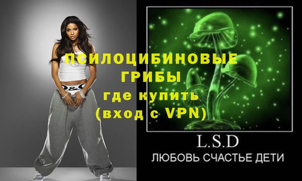 тгк Тайга