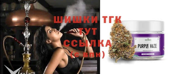 PSILOCYBIN Сясьстрой