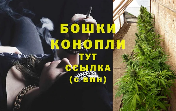 PSILOCYBIN Сясьстрой