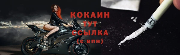 тгк Тайга