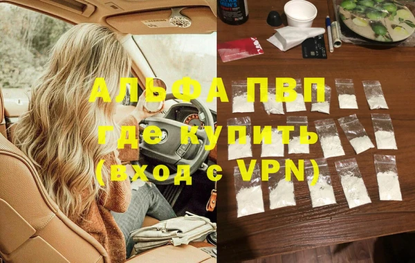 PSILOCYBIN Сясьстрой