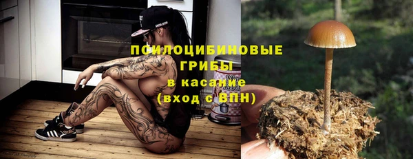 тгк Тайга