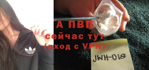 PSILOCYBIN Сясьстрой