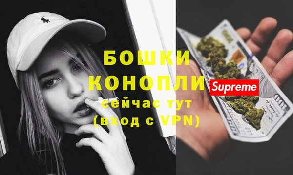PSILOCYBIN Сясьстрой