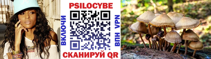 Галлюциногенные грибы ЛСД  Бакал 